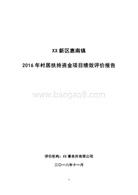 2016年村居扶持资金项目绩效评价报告.docx