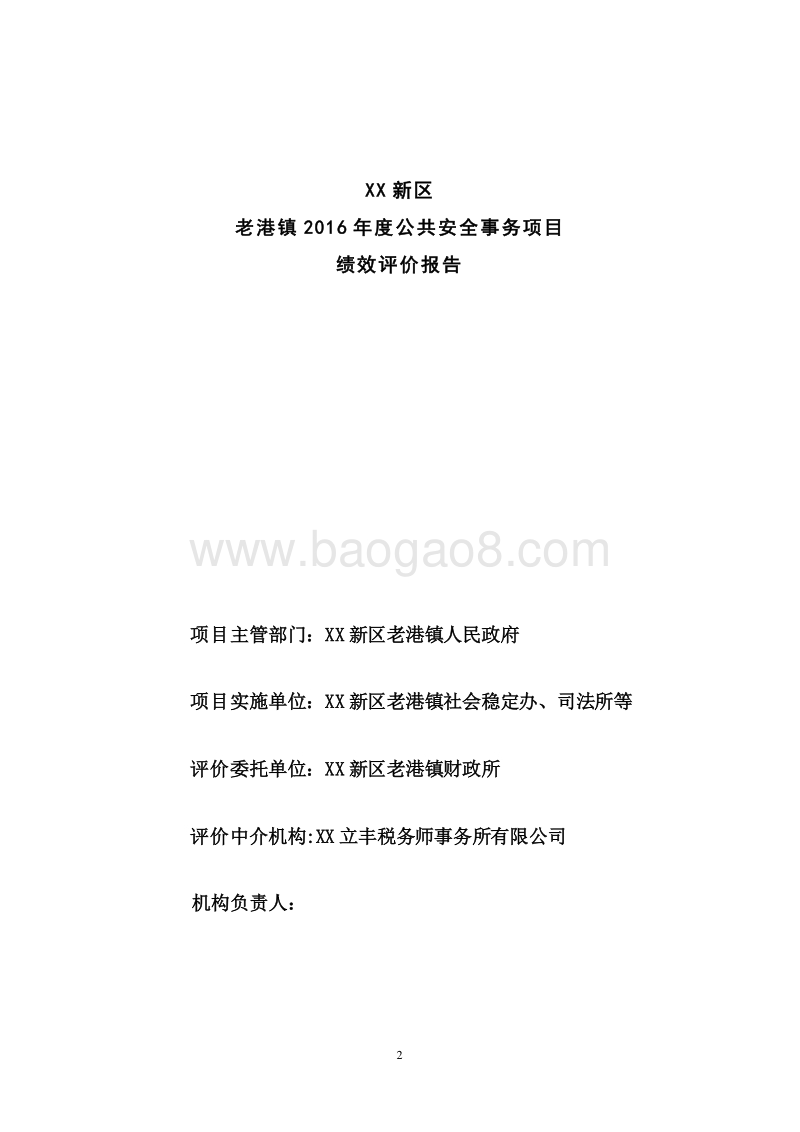 XX新区老港镇2016年度公共安全事务项目专项资金绩效评价报告.doc_第2页
