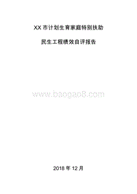XX市计划生育家庭特别扶助民生工程绩效自评报告.docx