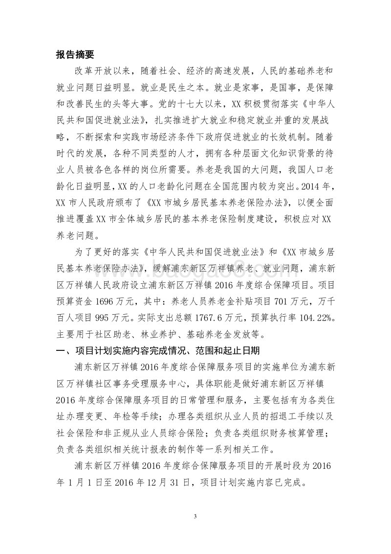 XX新区万祥镇2016年度综合保障服务项目绩效评价报告.doc_第3页