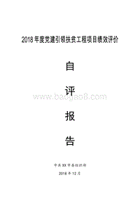 2018年度党建引领扶贫工程项目绩效评价自评报告.doc