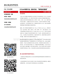 STEAM教育行业：国内仍处“黎明前的黑暗”.pdf