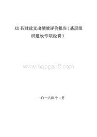 XX县财政支出绩效评价报告（基层组织建设专项经费）.doc