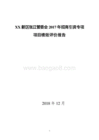 XX新区张江管委会2017年招商引资专项项目绩效评价报告.doc