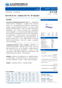 资本市场IT行业：长期成长空间广阔，景气度迎拐点.pdf