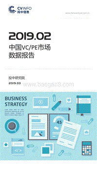 2019年2月中国VCPE市场数据报告.pdf