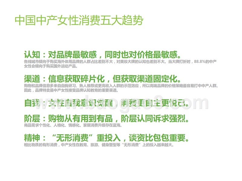 2019中国中产女性消费分析报告.pptx_第3页