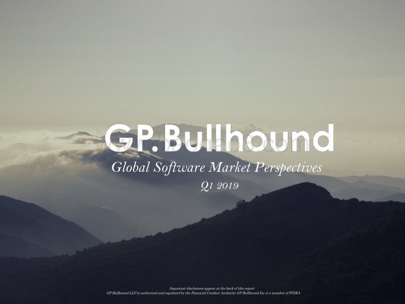2019年Q1全球软件市场报告（英文版）.pptx_第1页