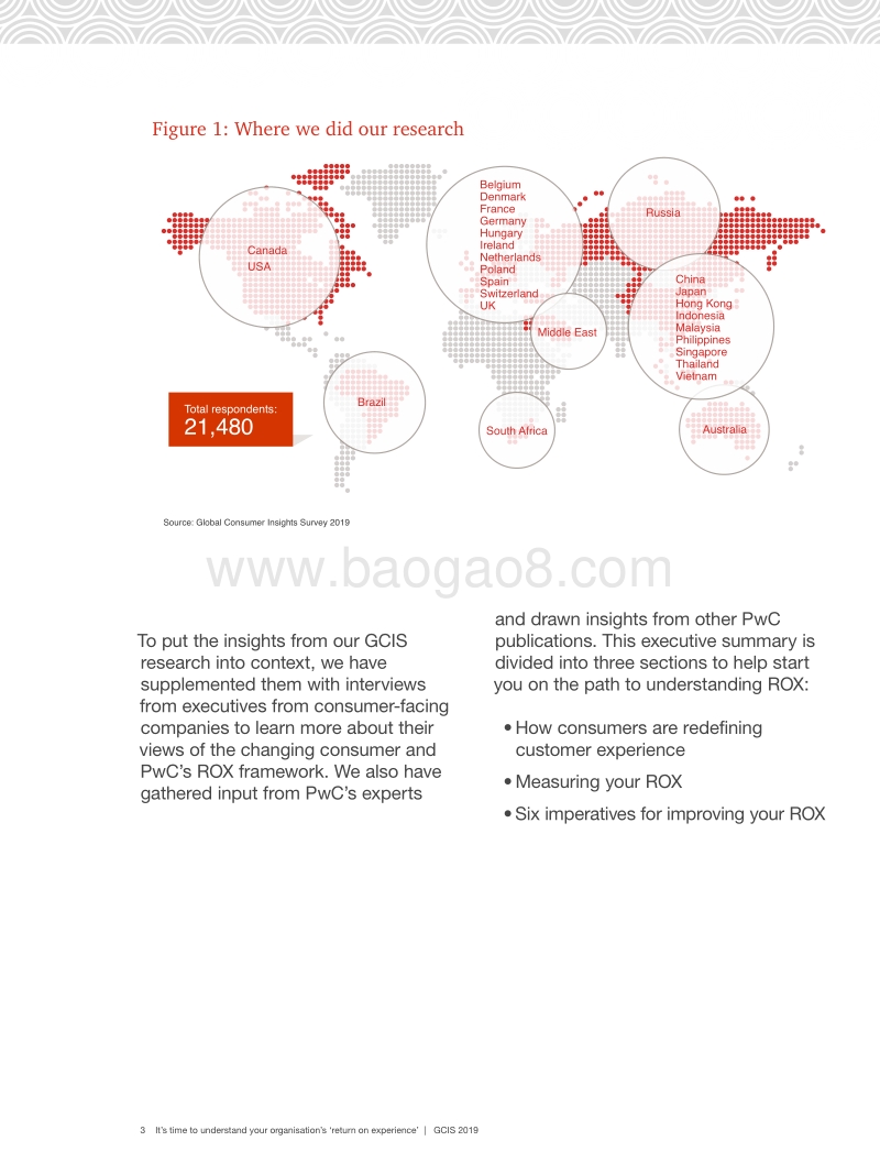 2019全球消费者洞察报告.pdf_第3页