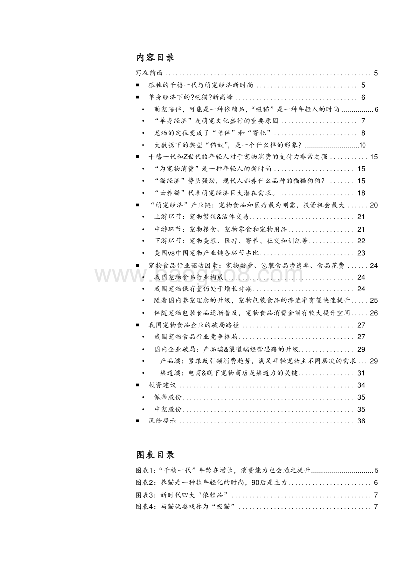 2019千禧一代单身贵族萌宠经济分析报告.doc_第2页