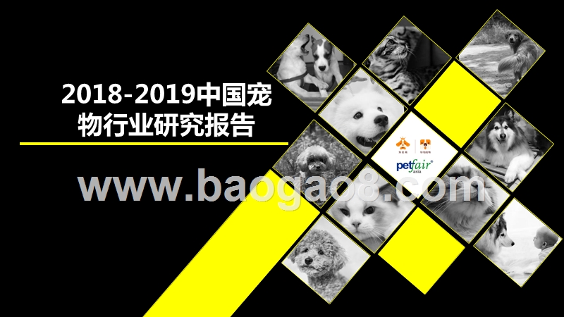 2018-2019中国宠物行业研究报告.pptx_第1页
