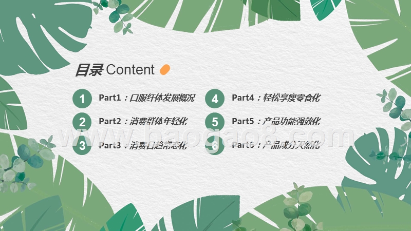 2019口服纤体品类发展趋势洞察报告.pptx_第2页