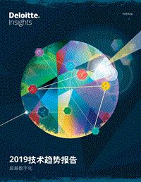 2019技术趋势报告：超越数字化.pdf