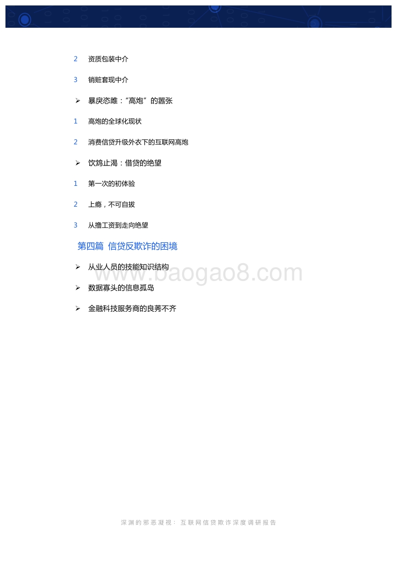 互联网信贷欺诈深度调研报告：深渊的邪恶凝视.pdf_第3页