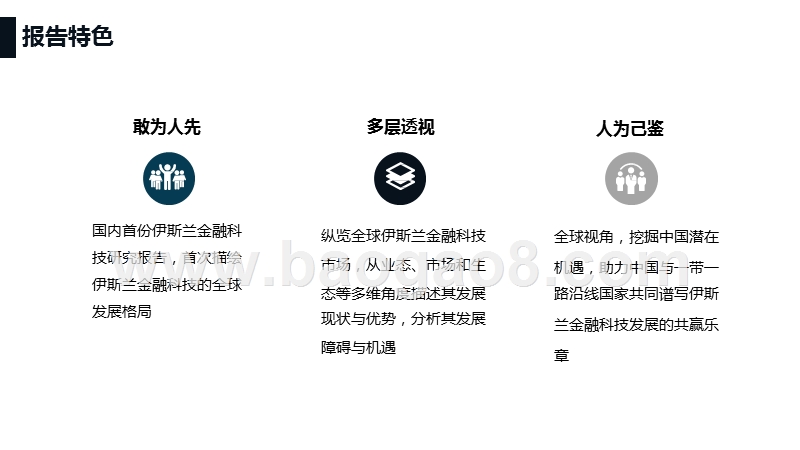 2019伊斯兰金融科技报告.pptx_第2页
