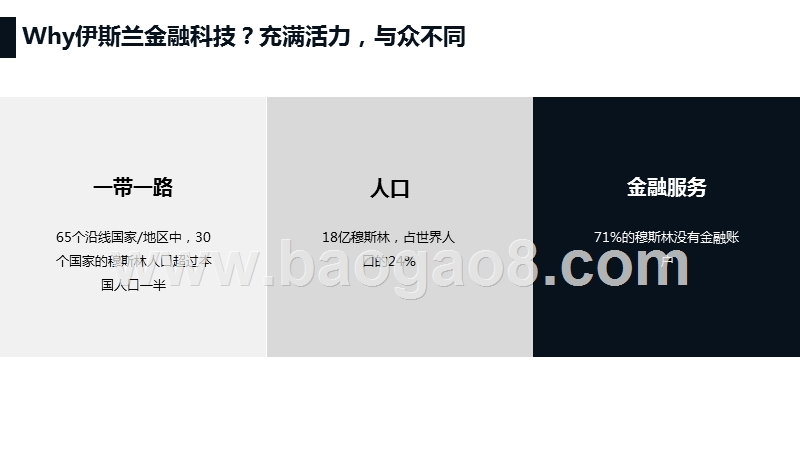 2019伊斯兰金融科技报告.pptx_第3页