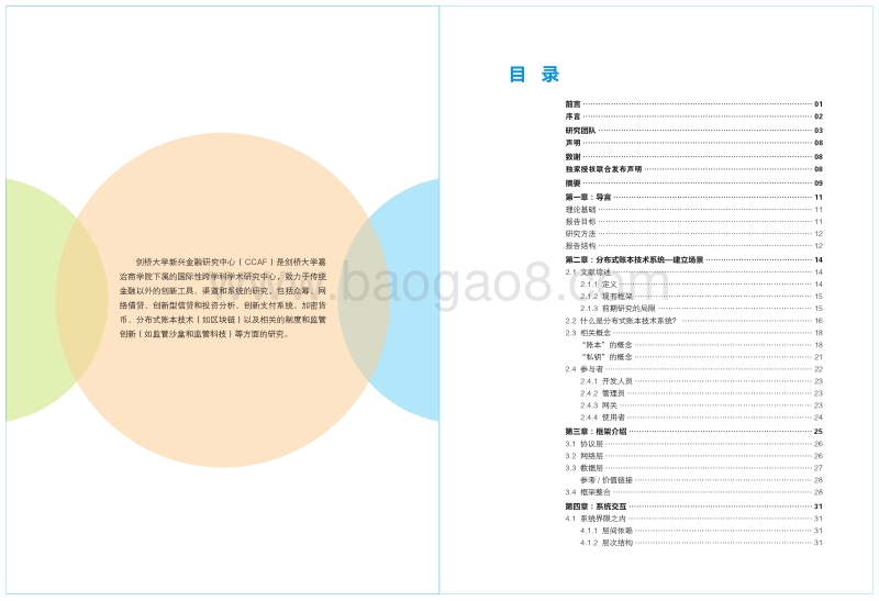 分布式账本技术系统：一个概念框架.pdf_第2页