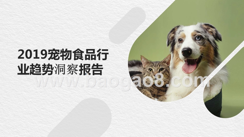 2019宠物食品行业趋势洞察报告.pptx_第1页