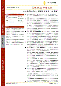 柔性OLED专题报告：可折叠手机量产，引爆中国制造“新蓝海”.pdf