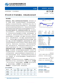 百亿医保IT市场待建设，积极拓宽业务边界.pdf