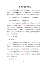 2018-2019促销活动总结范文.docx