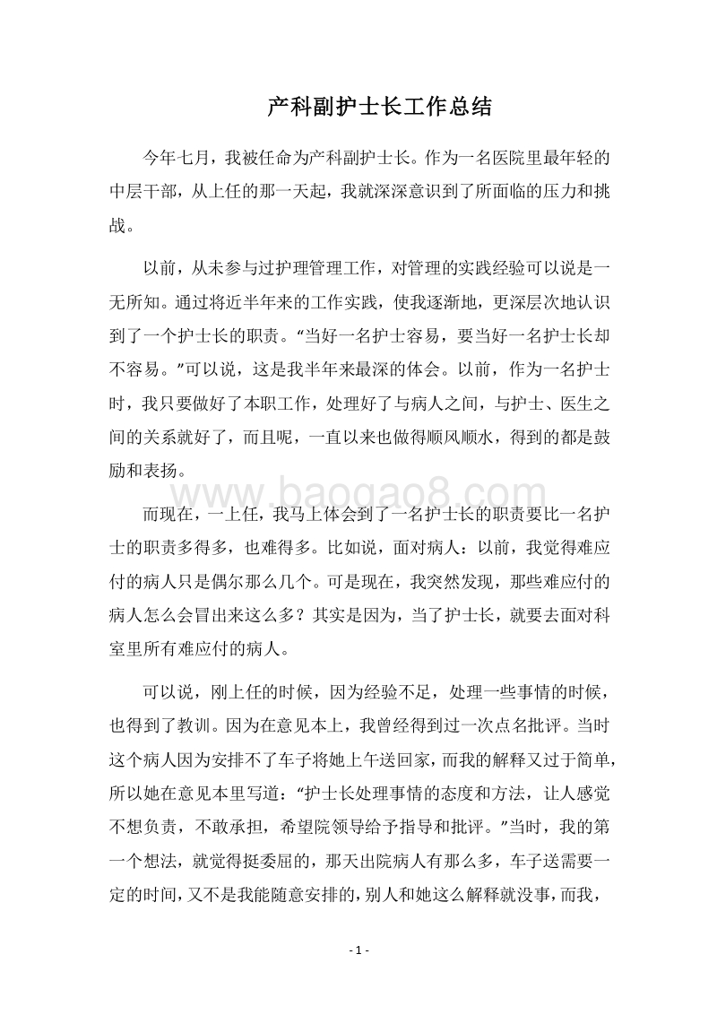 2018-2019产科副护士长工作总结.docx_第1页
