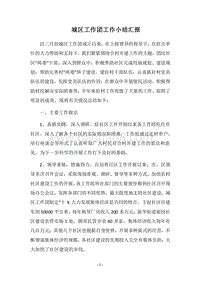 2018-2019城区工作团工作小结汇报.docx