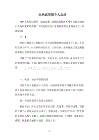 2018-2019出纳试用期个人总结.docx