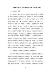 2018-2019保持共产党员先进性活动第一阶段小结.docx