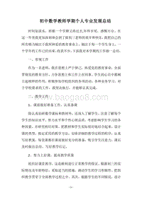 2018-2019初中数学教师学期个人专业发展总结_1.docx