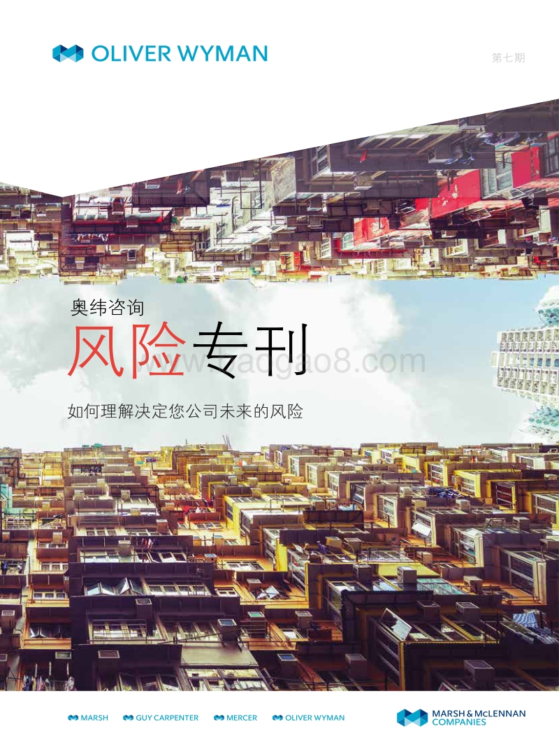 风险专刊：如何理解决定您公司未来的风险.pdf_第1页