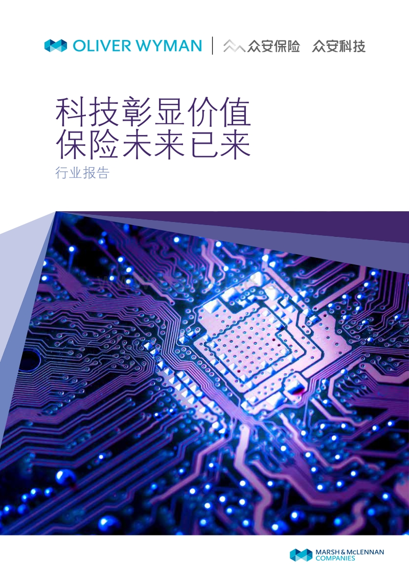 科技彰显价值，保险未来已来.pdf_第1页