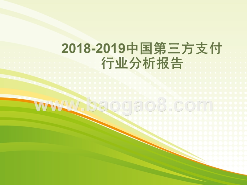 2018-2019中国第三方支付行业分析报告.pptx_第1页