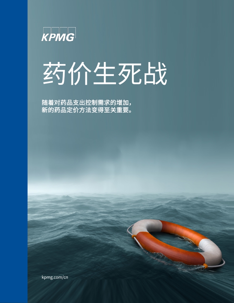 药价生死战.pdf_第1页