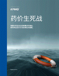 药价生死战.pdf