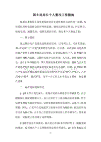 2018国土局局长个人整改工作措施.docx