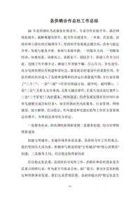 2018县供销合作总社工作总结.docx