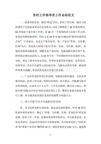 2018农村工作指导员工作总结范文.docx