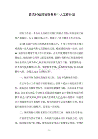 2018县农村信用社财务科个人工作计划.docx