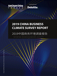 2019中国商务环境调查报告.pdf