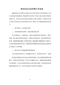 2018净化社会文化环境工作总结.docx