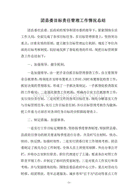 2018团县委目标责任管理工作情况总结.docx