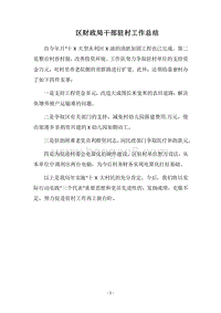 2018区财政局干部驻村工作总结.docx