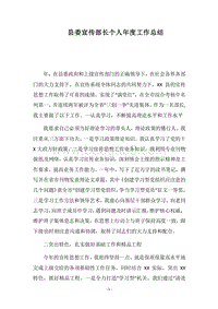 2018县委宣传部长个人年度工作总结.docx