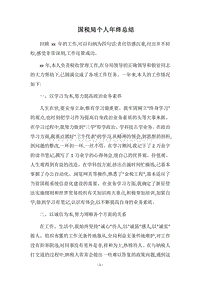 2018国税局个人年终总结.docx
