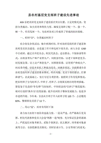 2018县农村基层党支部班子建设先进事迹.docx