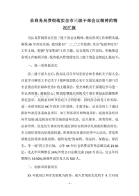 2018县商务局贯彻落实全市三级干部会议精神的情况汇报.docx