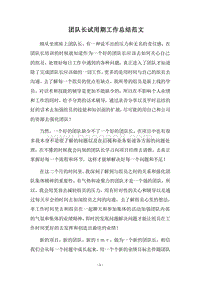 2018团队长试用期工作总结范文.docx