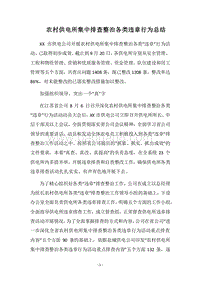 2018农村供电所集中排查整治各类违章行为总结.docx