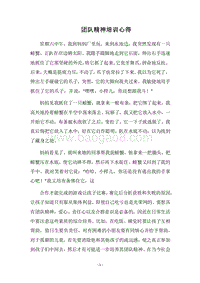 2018团队精神培训心得_1.docx
